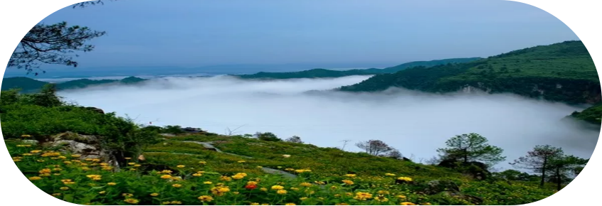 湖南旅游開發公司,懷化旅游開發公司,懷化峽谷探幽,懷化石林花山植物園