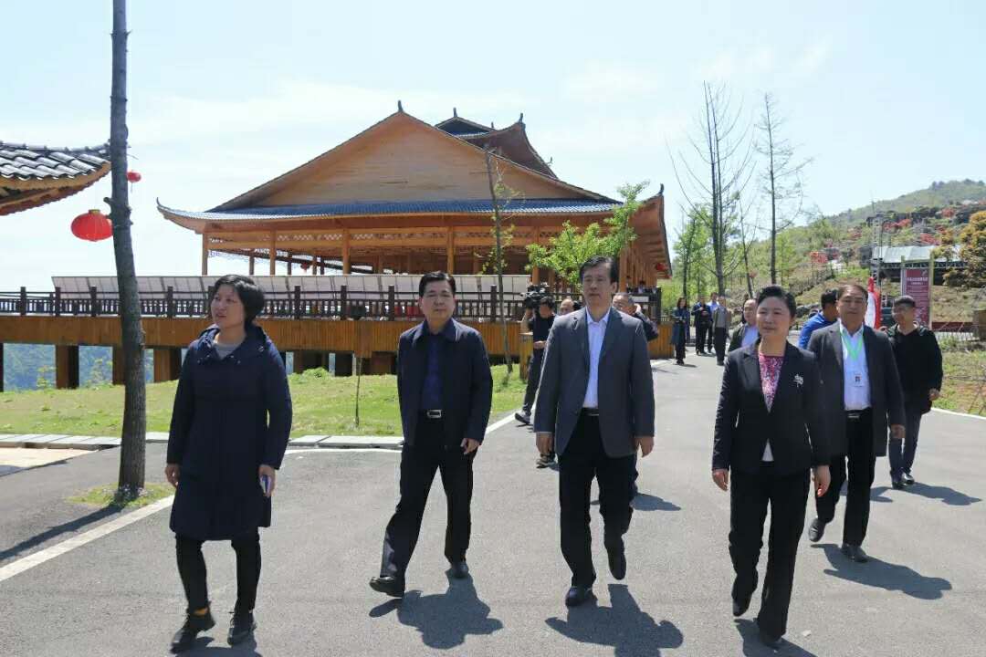 湖南旅游開發公司,懷化旅游開發公司,懷化峽谷探幽,懷化石林花山植物園