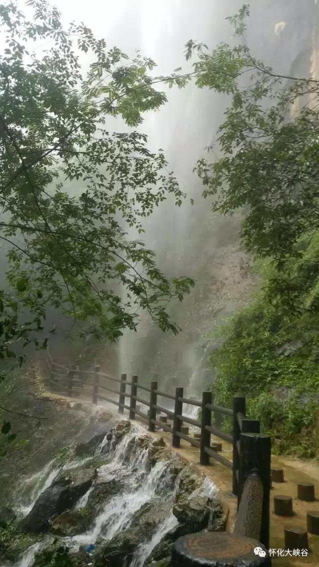 湖南旅游開發公司,懷化旅游開發公司,懷化峽谷探幽,懷化石林花山植物園