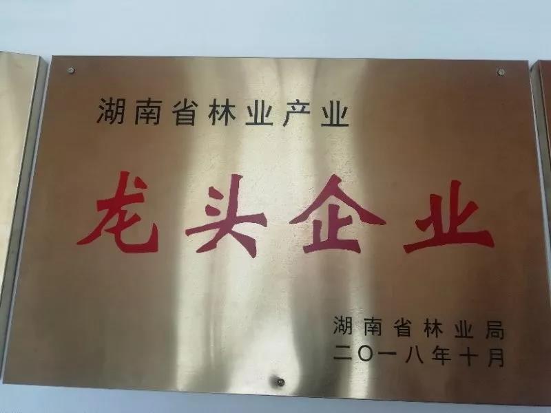 湖南旅游開發公司,懷化旅游開發公司,懷化峽谷探幽,懷化石林花山植物園