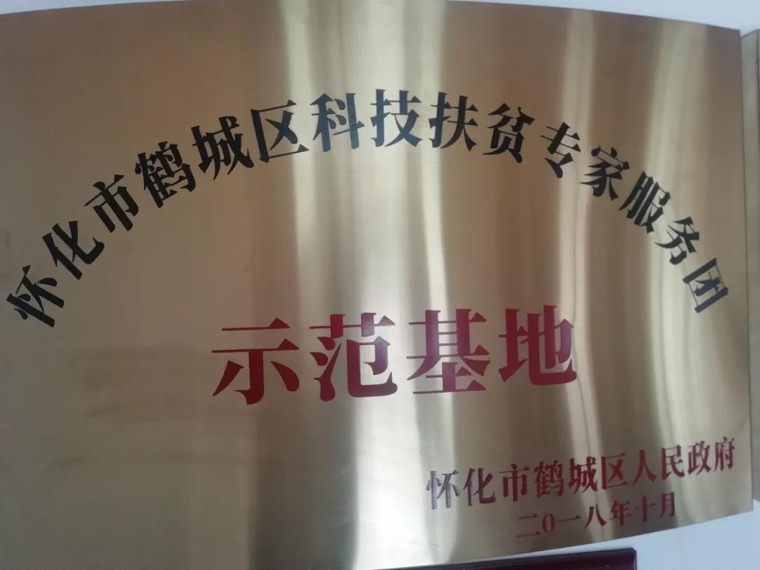 湖南旅游開發公司,懷化旅游開發公司,懷化峽谷探幽,懷化石林花山植物園
