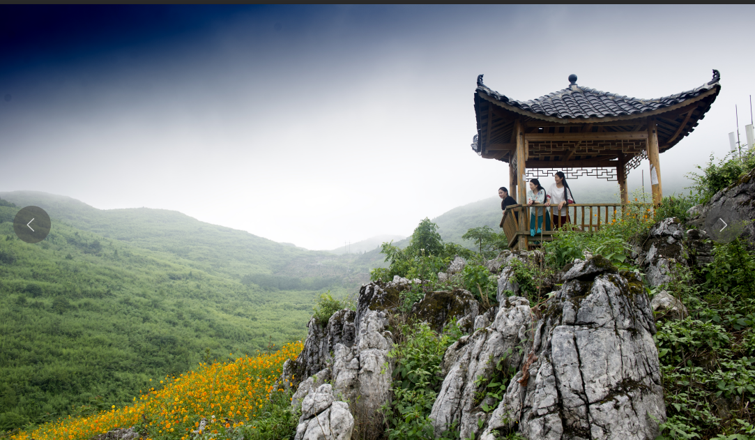 湖南旅游開發公司,懷化旅游開發公司,懷化峽谷探幽,懷化石林花山植物園 湖南旅游開發公司,懷化旅游開發公司,懷化峽谷探幽,懷化石林花山植物園